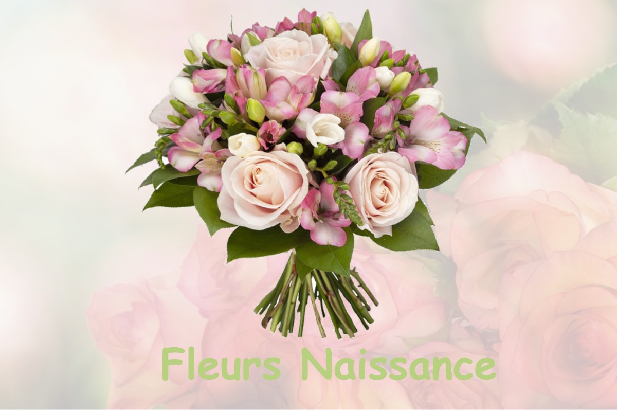 fleurs naissance CANY-BARVILLE